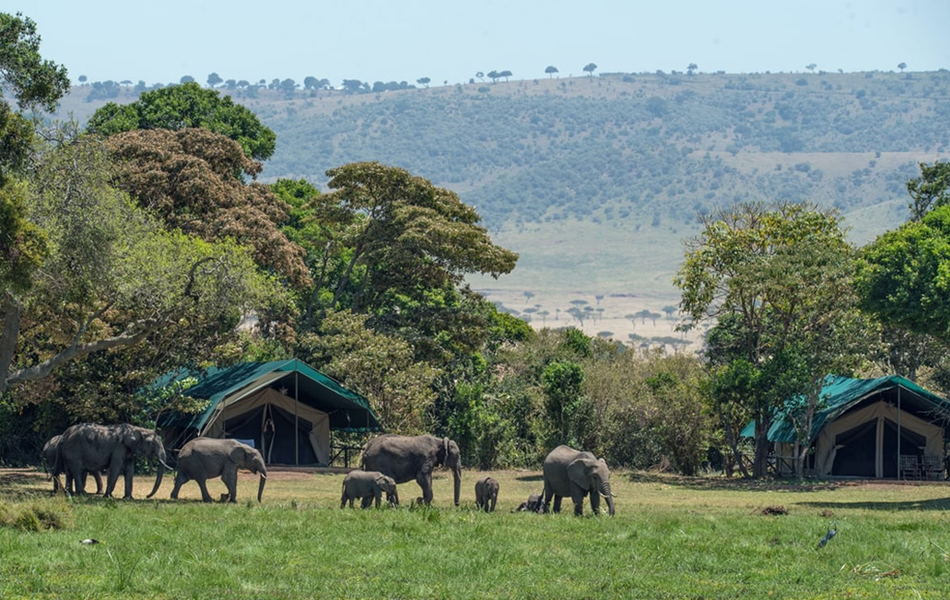 kenya-safaris-masai-mara-safari-lodges